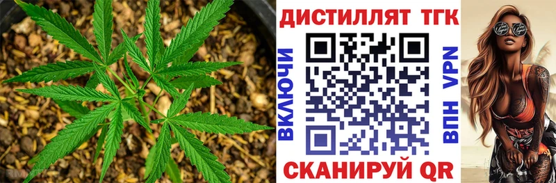 ТГК концентрат Буй