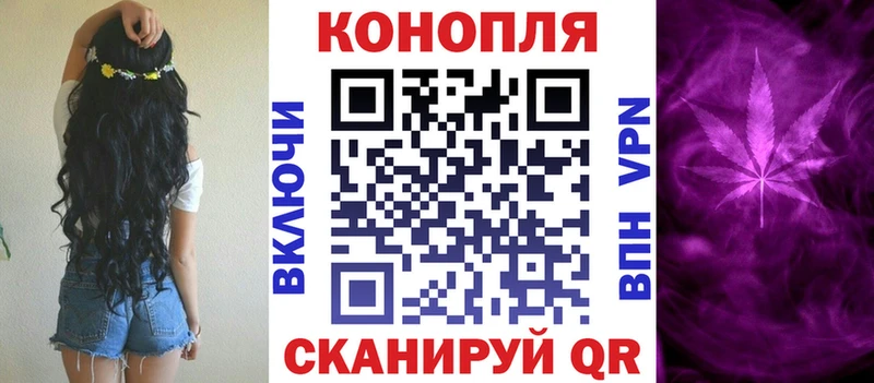 Каннабис планчик  Буй 